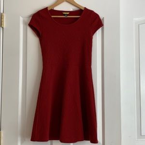 Beautiful and Vibrant Skater Dress